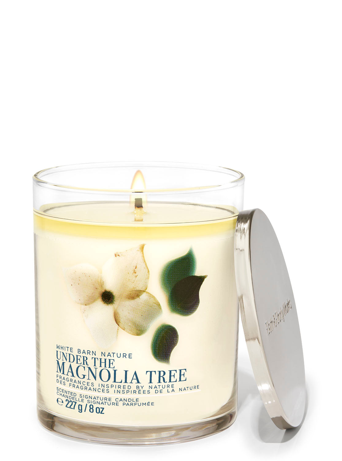Under The Magnolia Tree