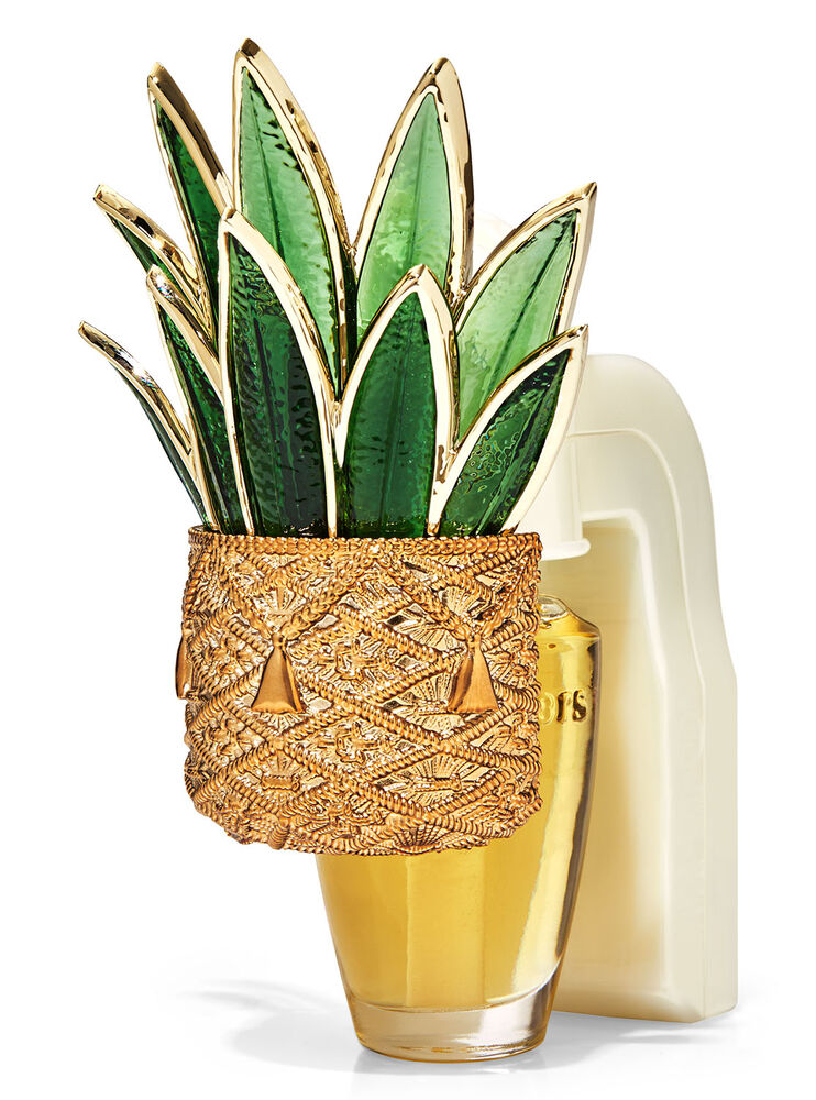 Planta vidriosa