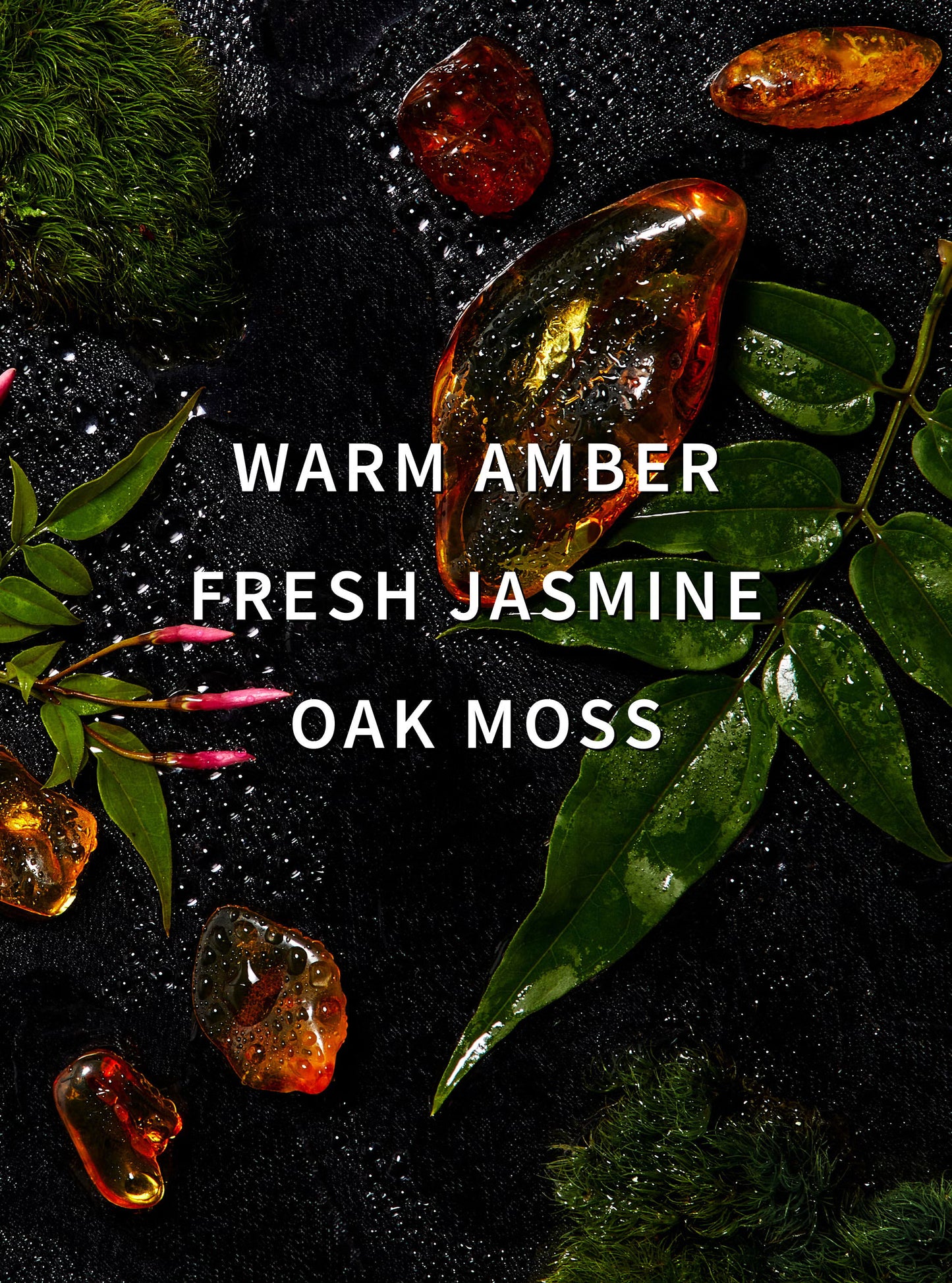 Amber Blush