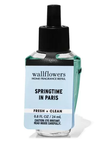 Springtime in paris