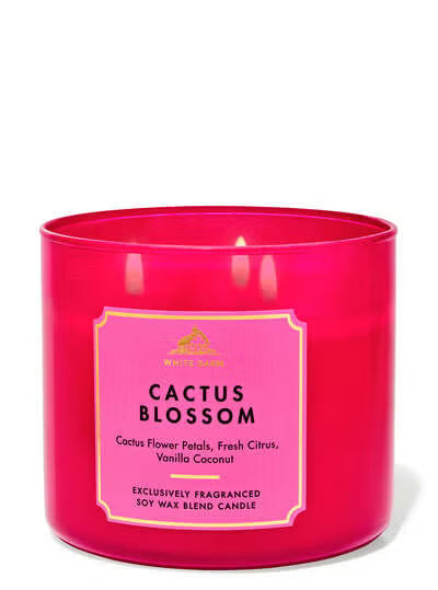 Cactus blossom