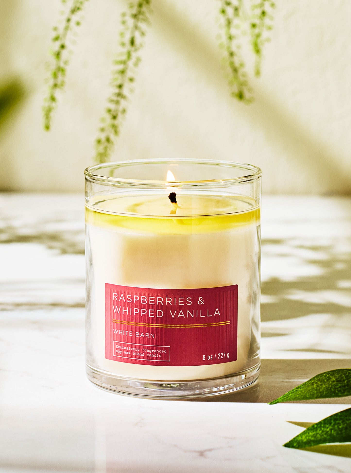 Raspberries & whipped vanilla