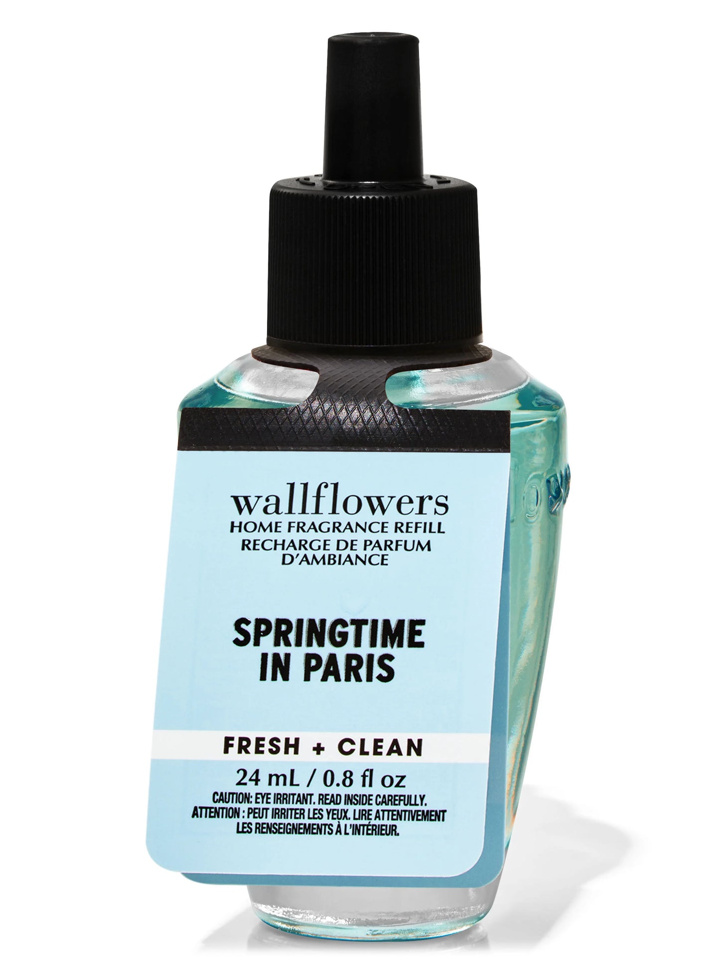 Springtime In Paris