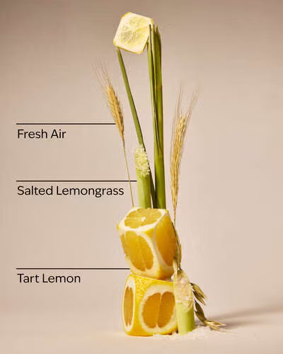 Laundry Room Lemon