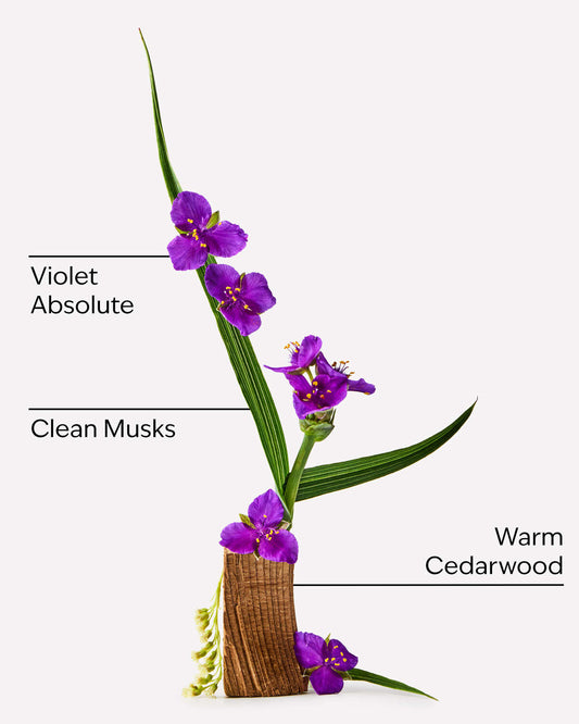 Very Violet