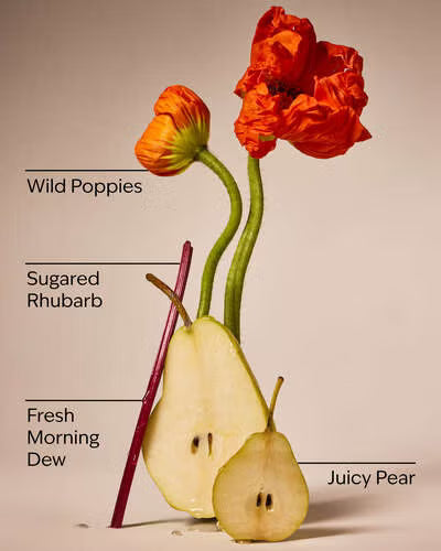 poppy