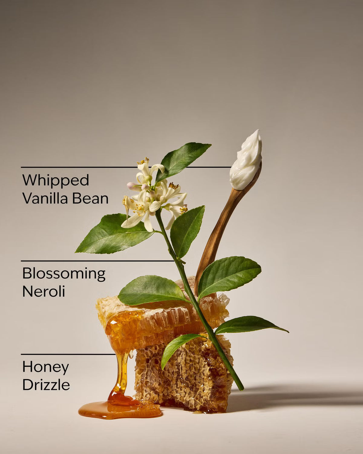 Whipped honey & vanilla