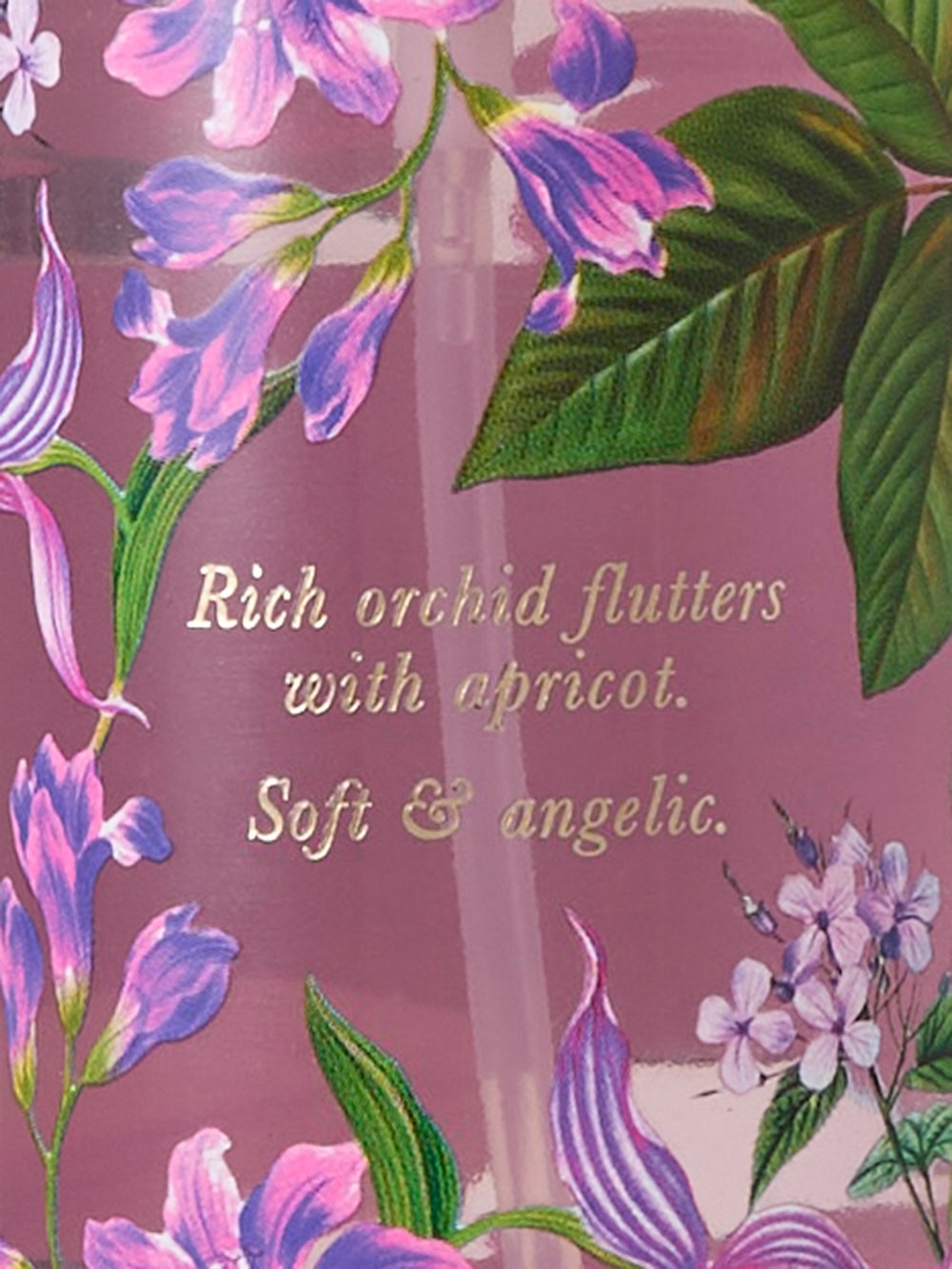 Cashmere orchid
