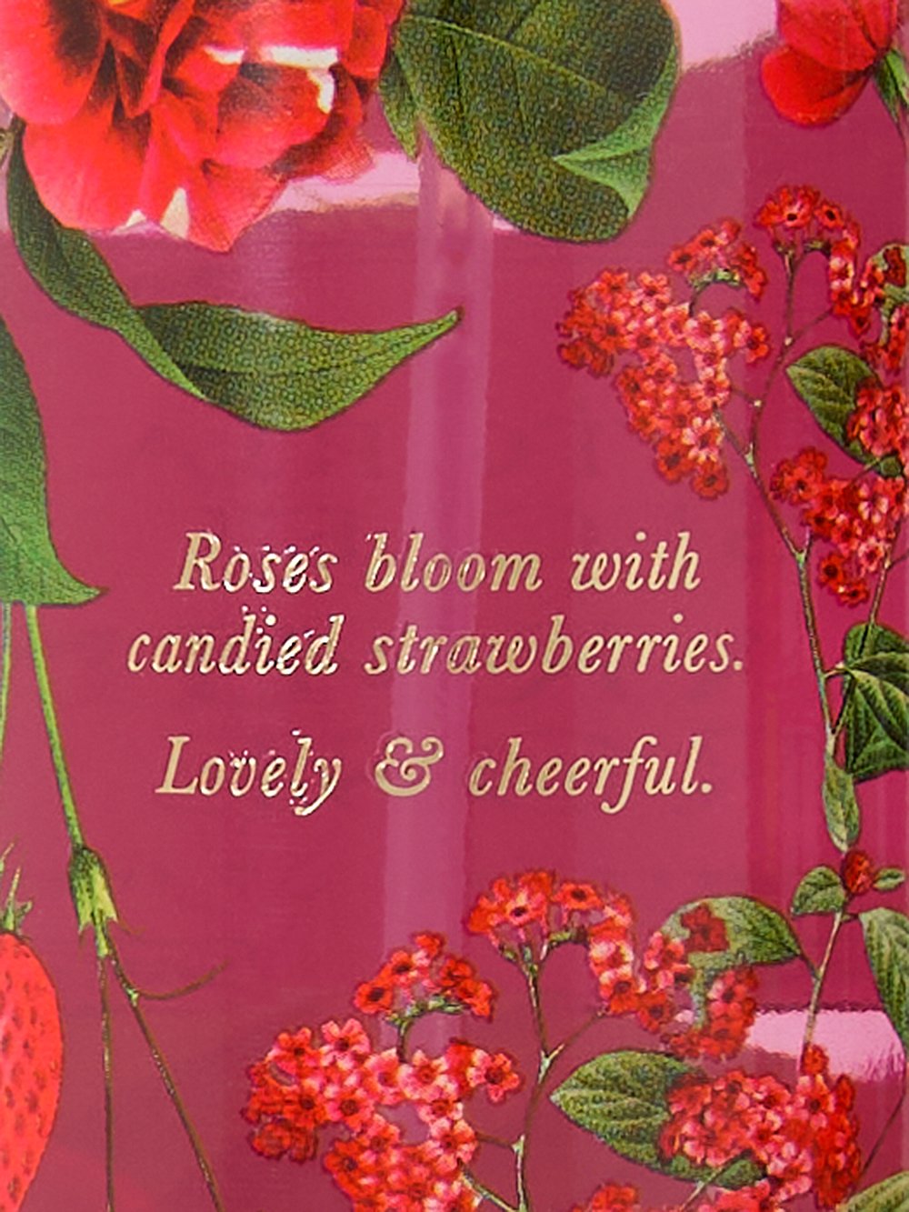 Charming Rose