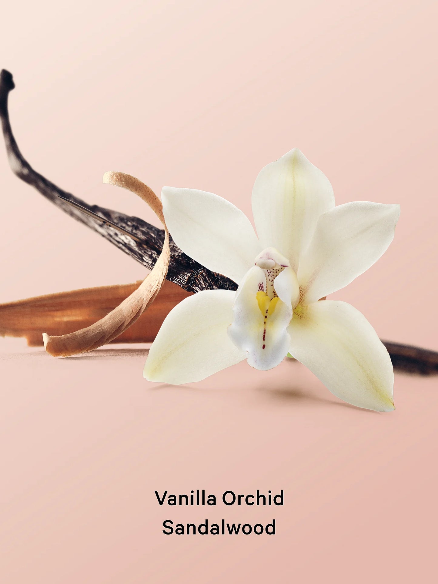 Vanilla Orchid Sandalwood Body and hair mist