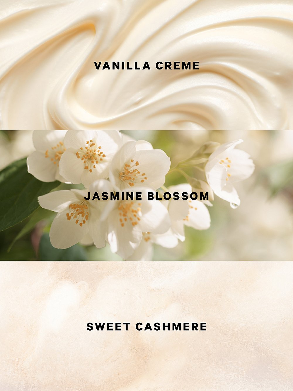 Darling Vanilla Jasmine