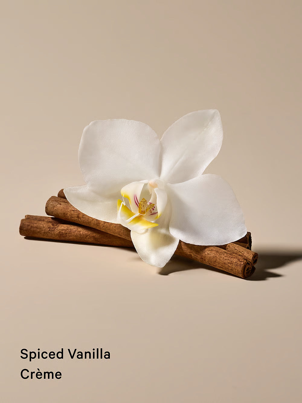 Spiced Vanilla Creme
