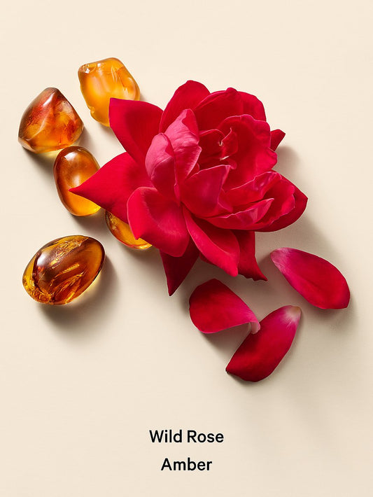 Wild Rose Amber
