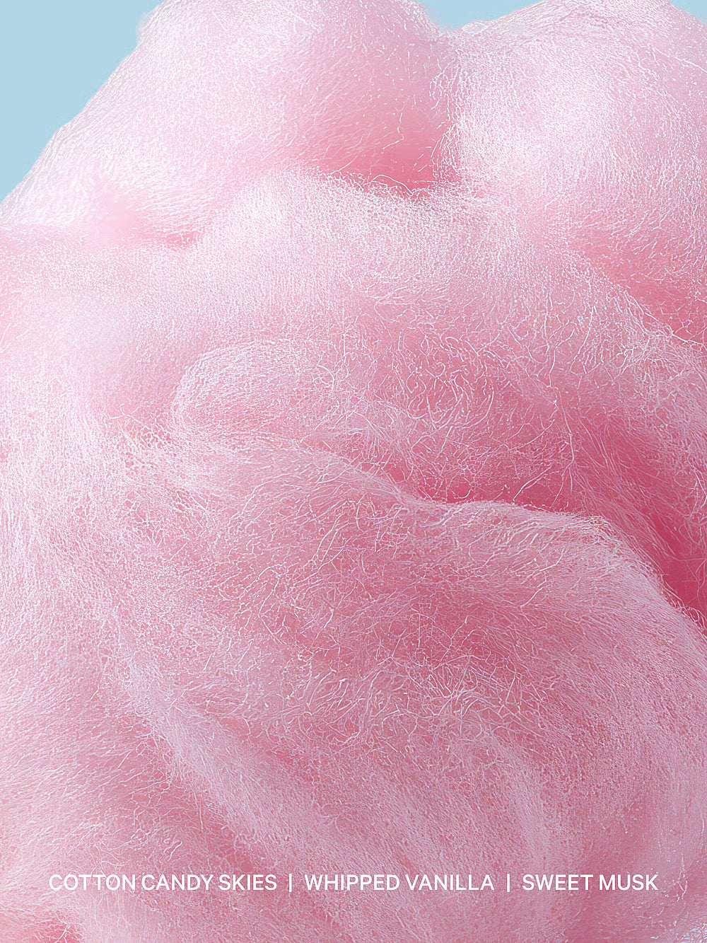 Love shimmer Xo sugar