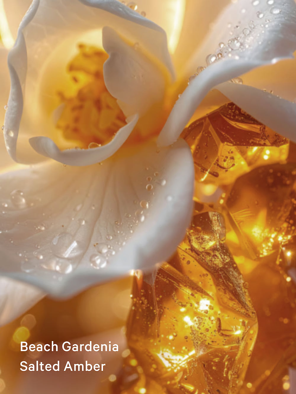 Seashell shimmer