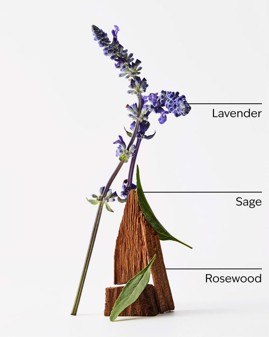 Lavender + jasmine