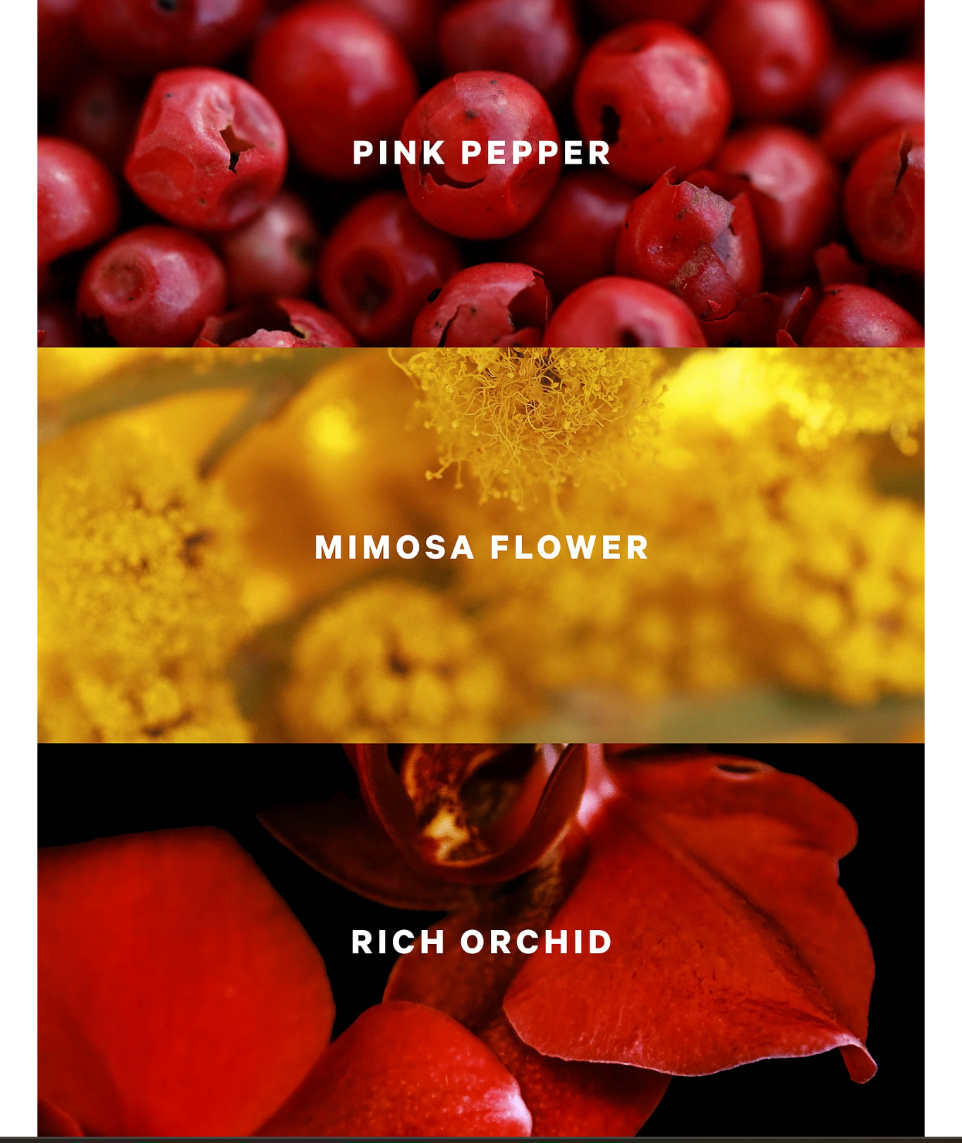Very sexy