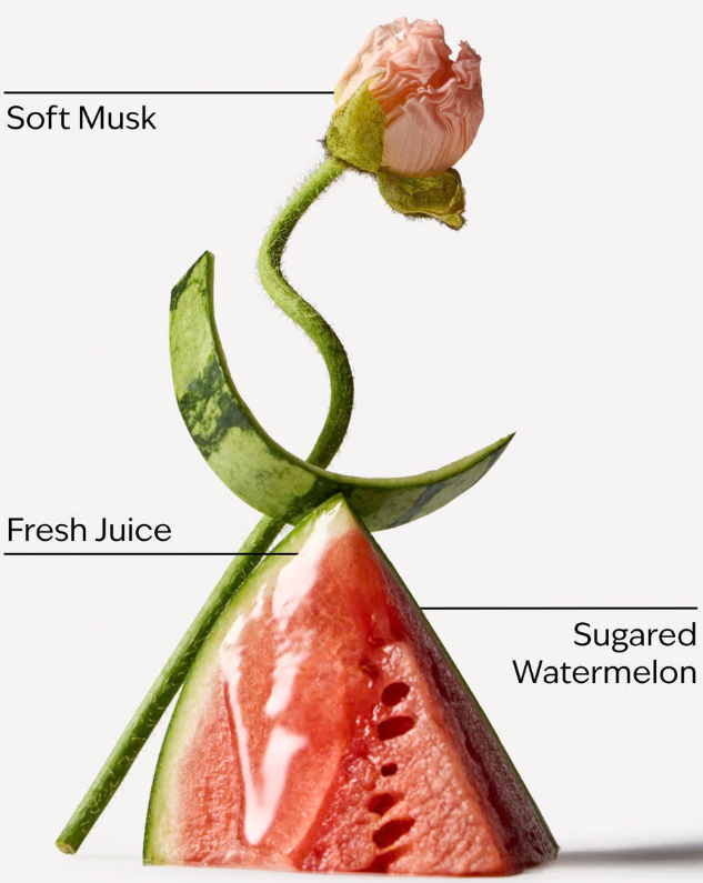 Watermelon Whirl