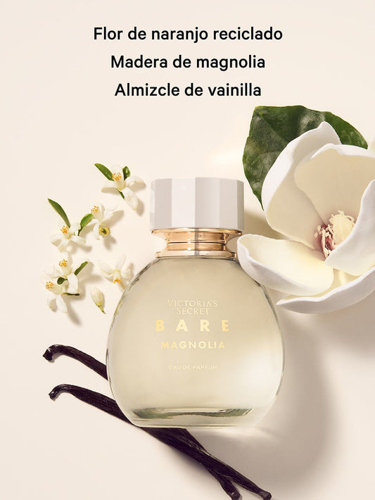 Bare Magnolia