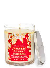 japanese cherry blossom