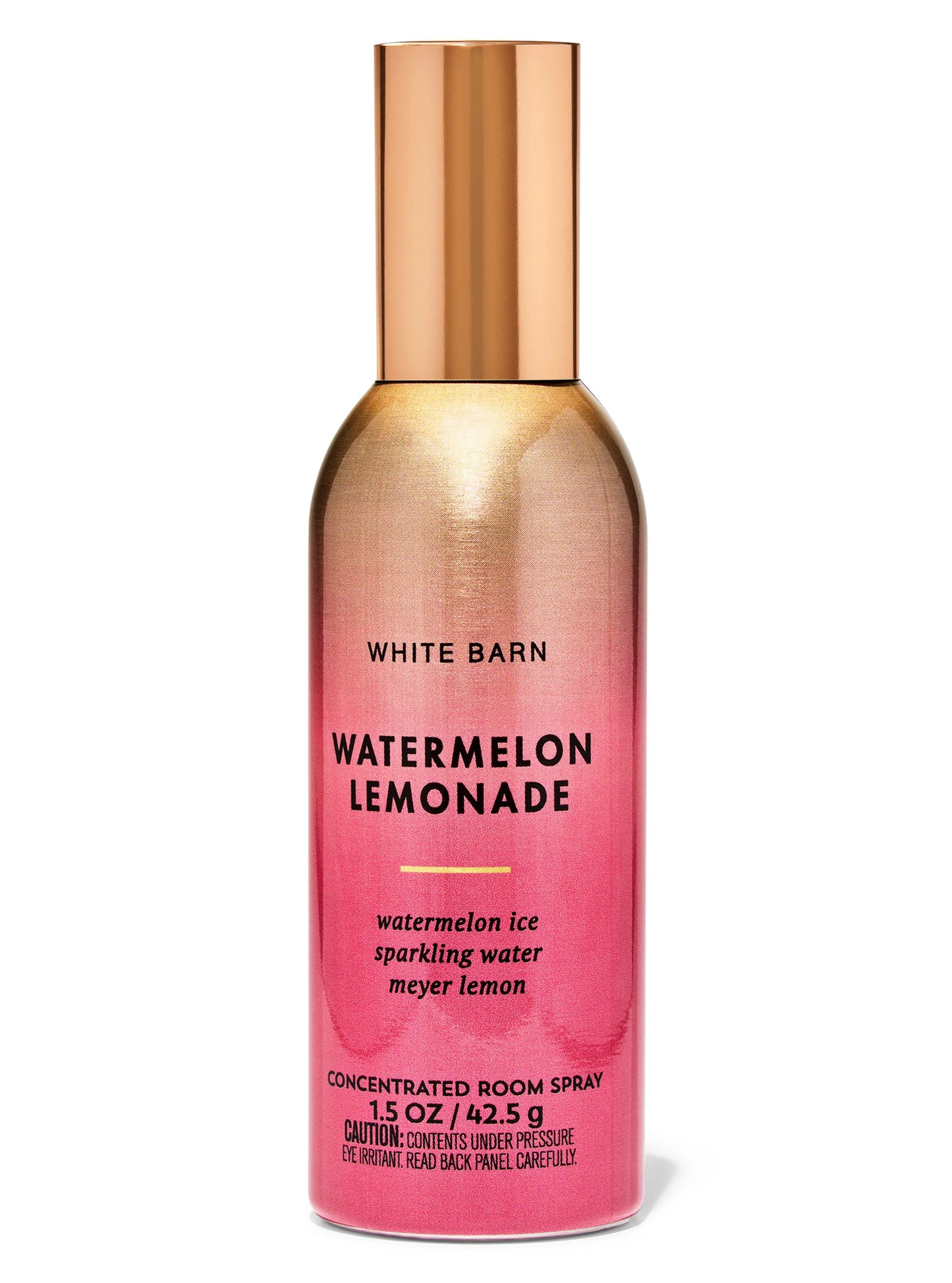 Watermelon Lemonade