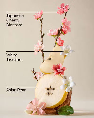 japanese cherry blossom