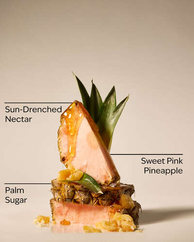 Pink Pineapple Sunrise