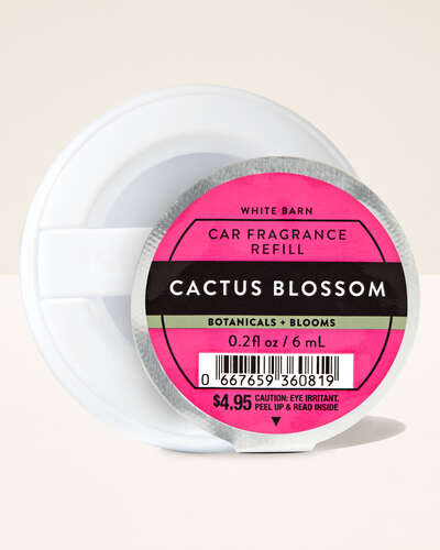 Cactus blossom