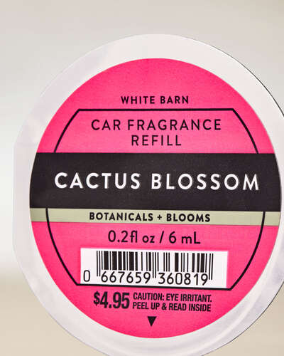 Cactus blossom