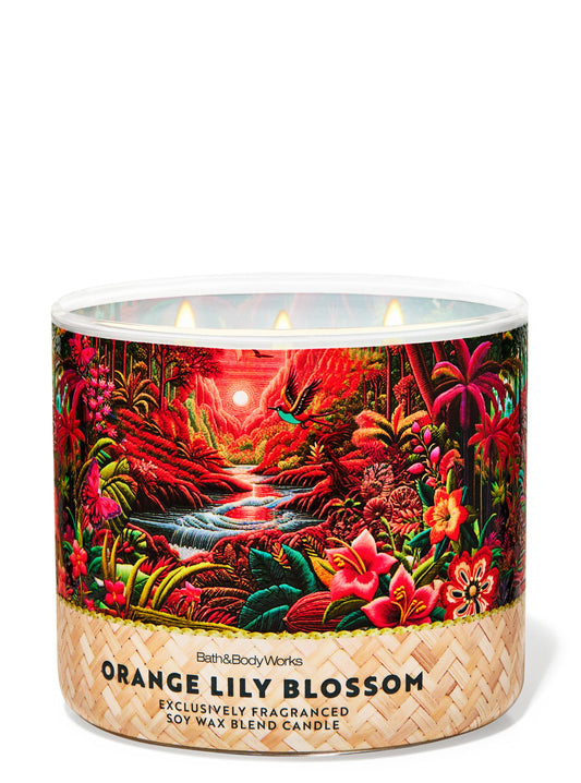 Orange lily Blossom