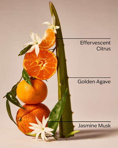 Sweet Orange & Agave