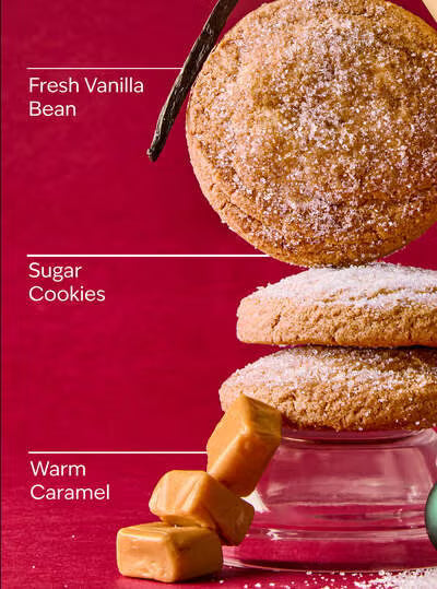 Vanilla Bean Noel