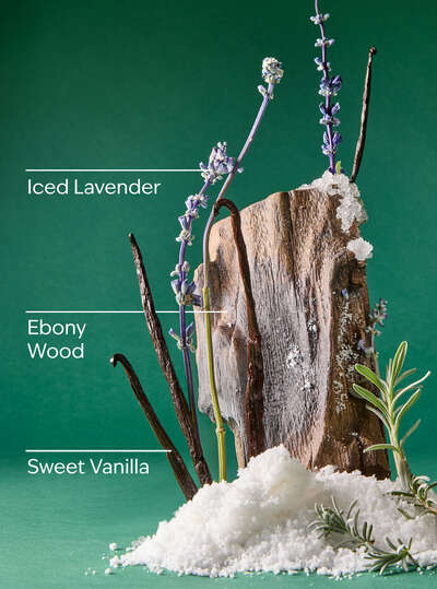 Iced Vanilla Woods