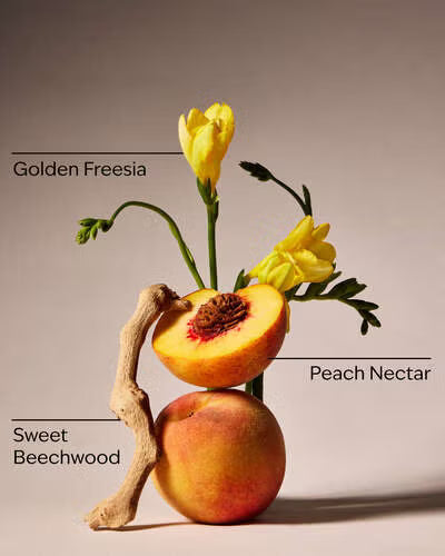 Peach Blossom & Nectar