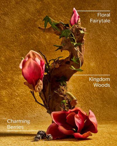 Life's a Fairytale