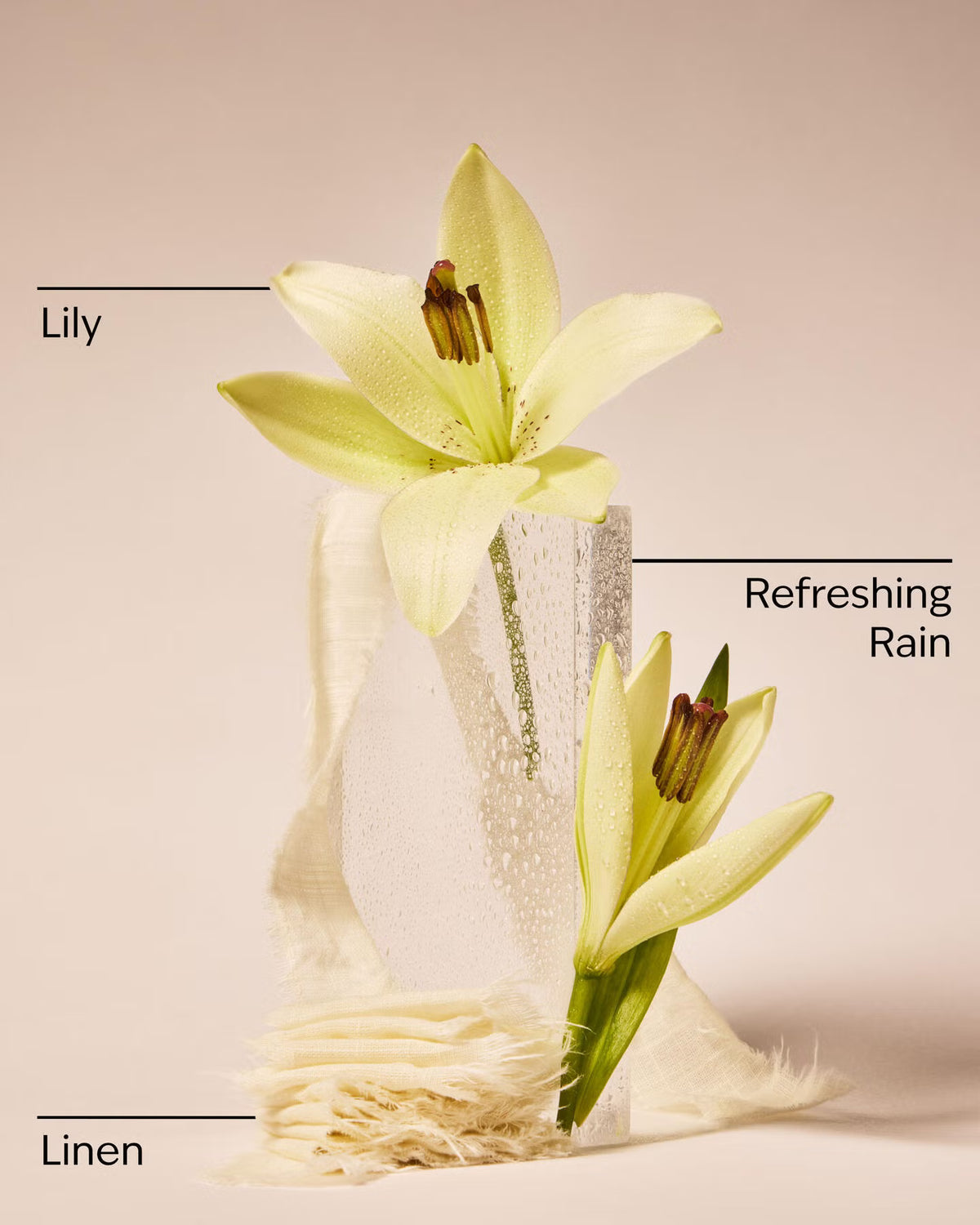 Fresh rainfall & linen