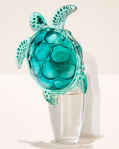 Conector tortuga