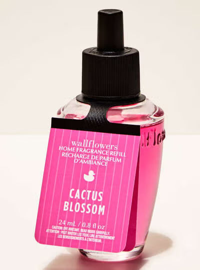 Cactus Blossom
