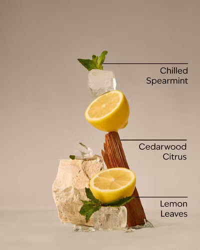 Fresh amalfi lemon