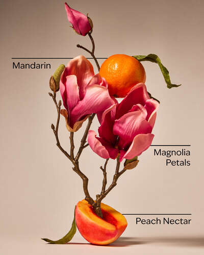 Pink peach blossom