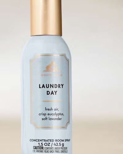 Laundry Day