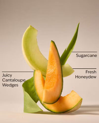 Melon Slice