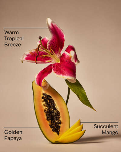 Mango Papaya Paradaise