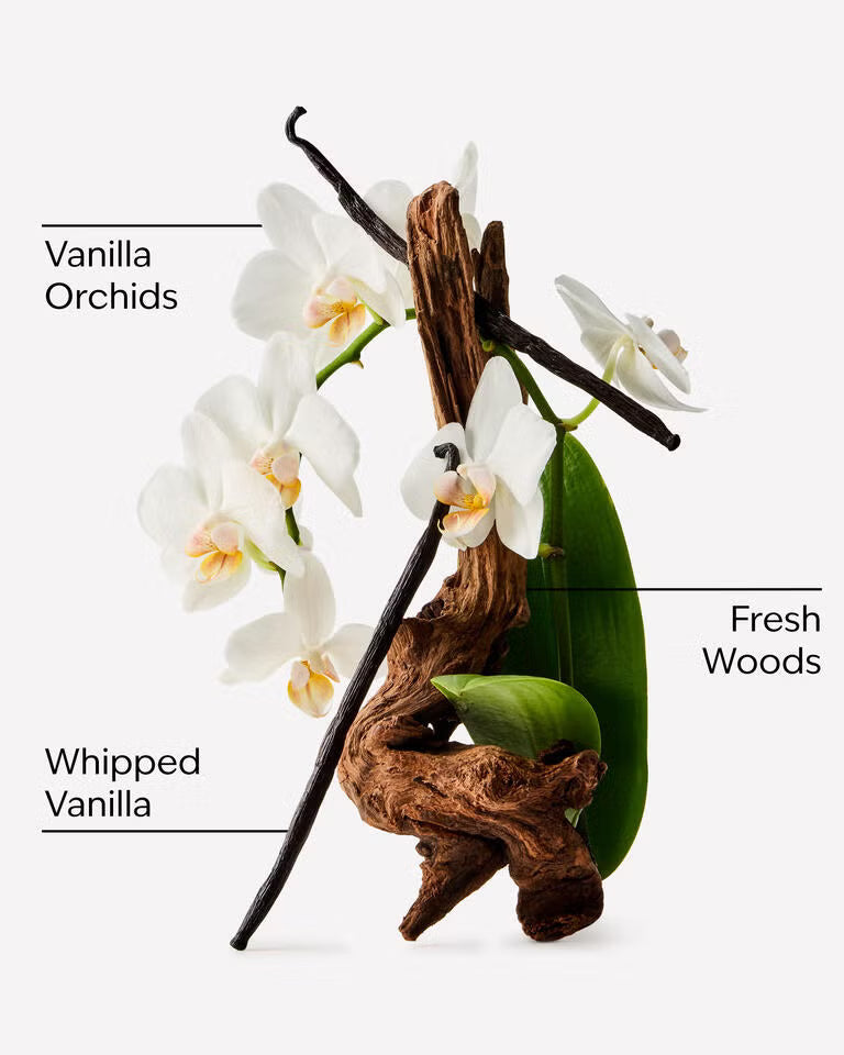 Orchid Effect