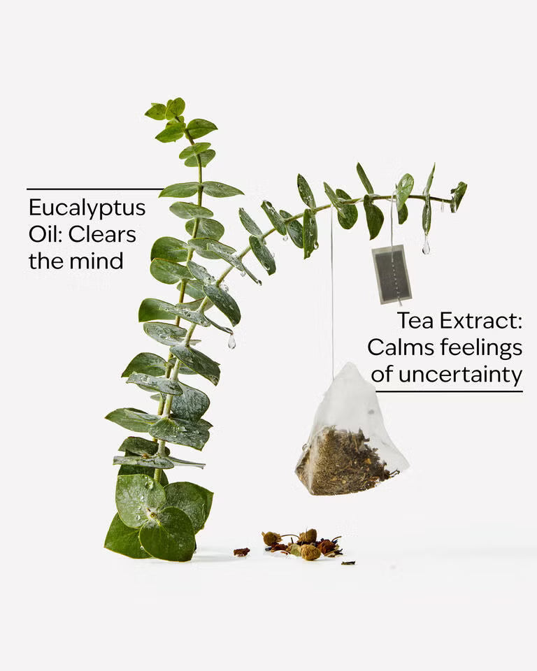 Eucalyptus Tea