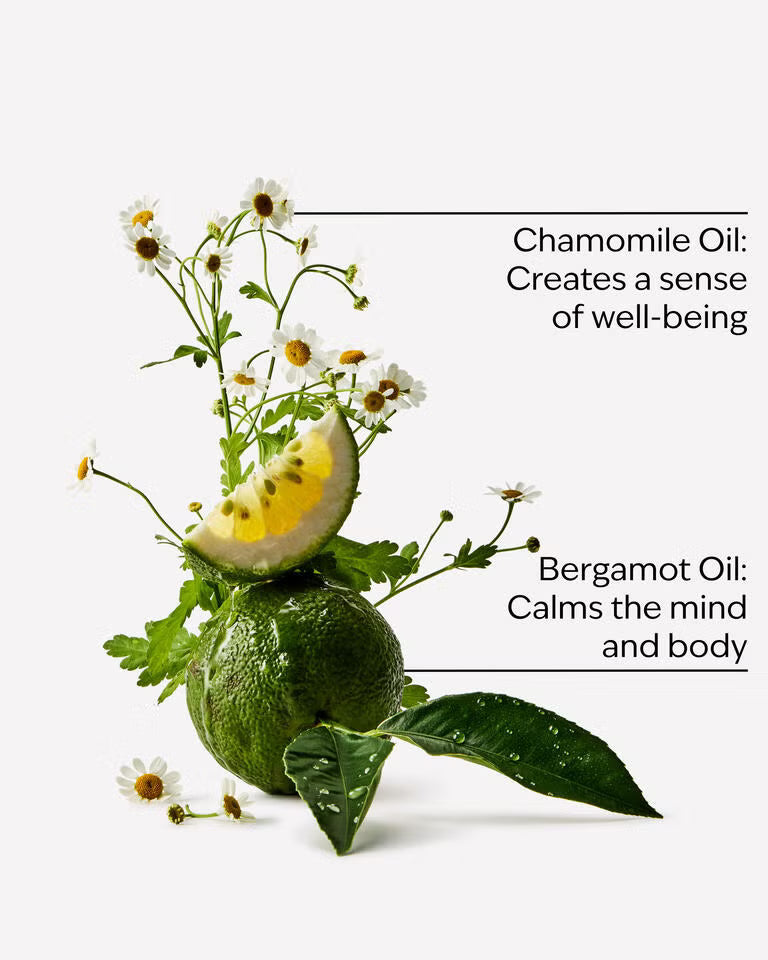 Black Chamomile
