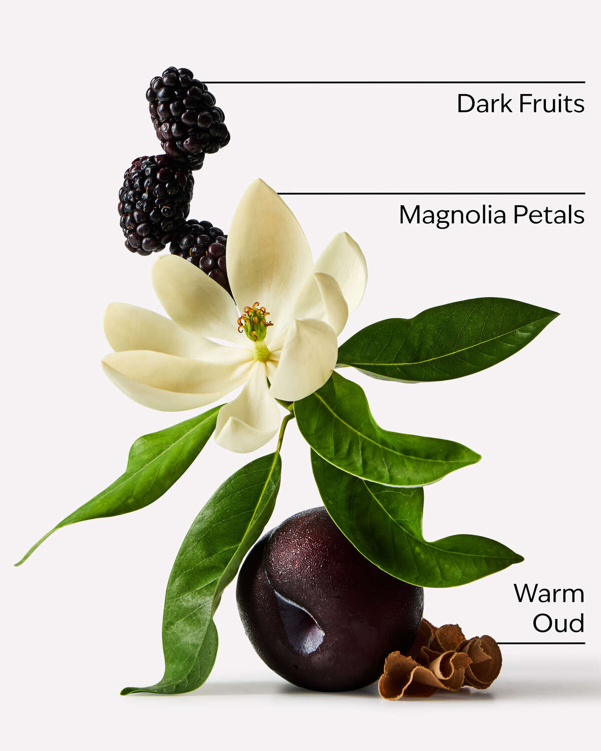 Oud Berry