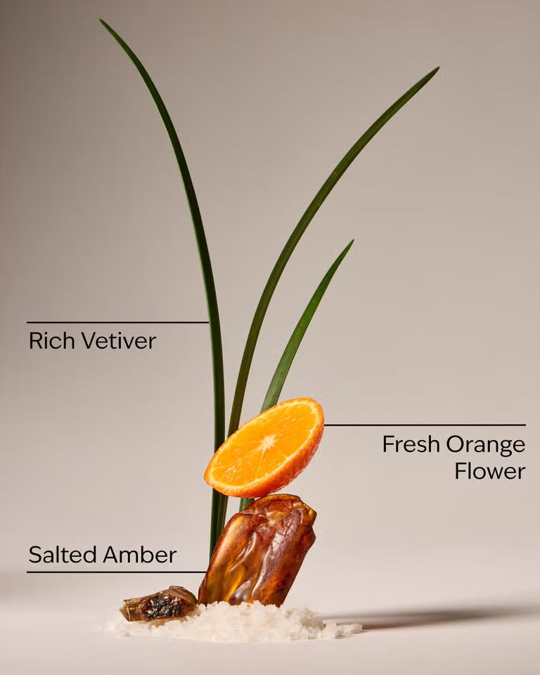 Salted amber and vetiver