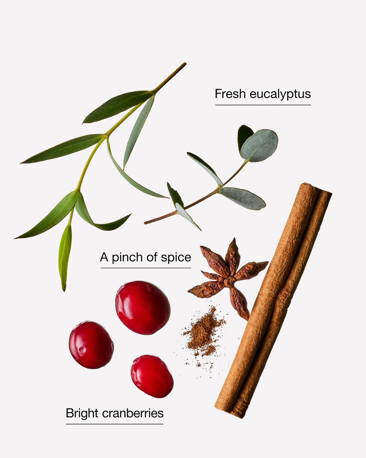 Cranberry & Eucalyptus