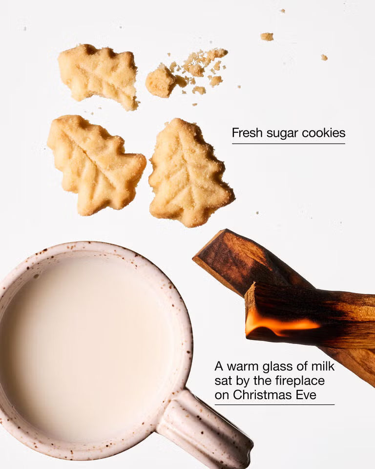 Santa's Milk & Cookies